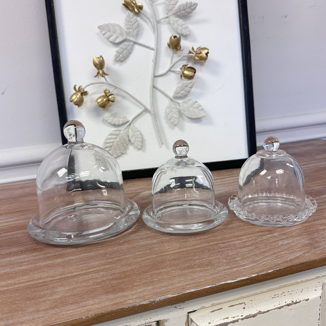 Glass Dome Display Cloche with Base – Emerald Layne