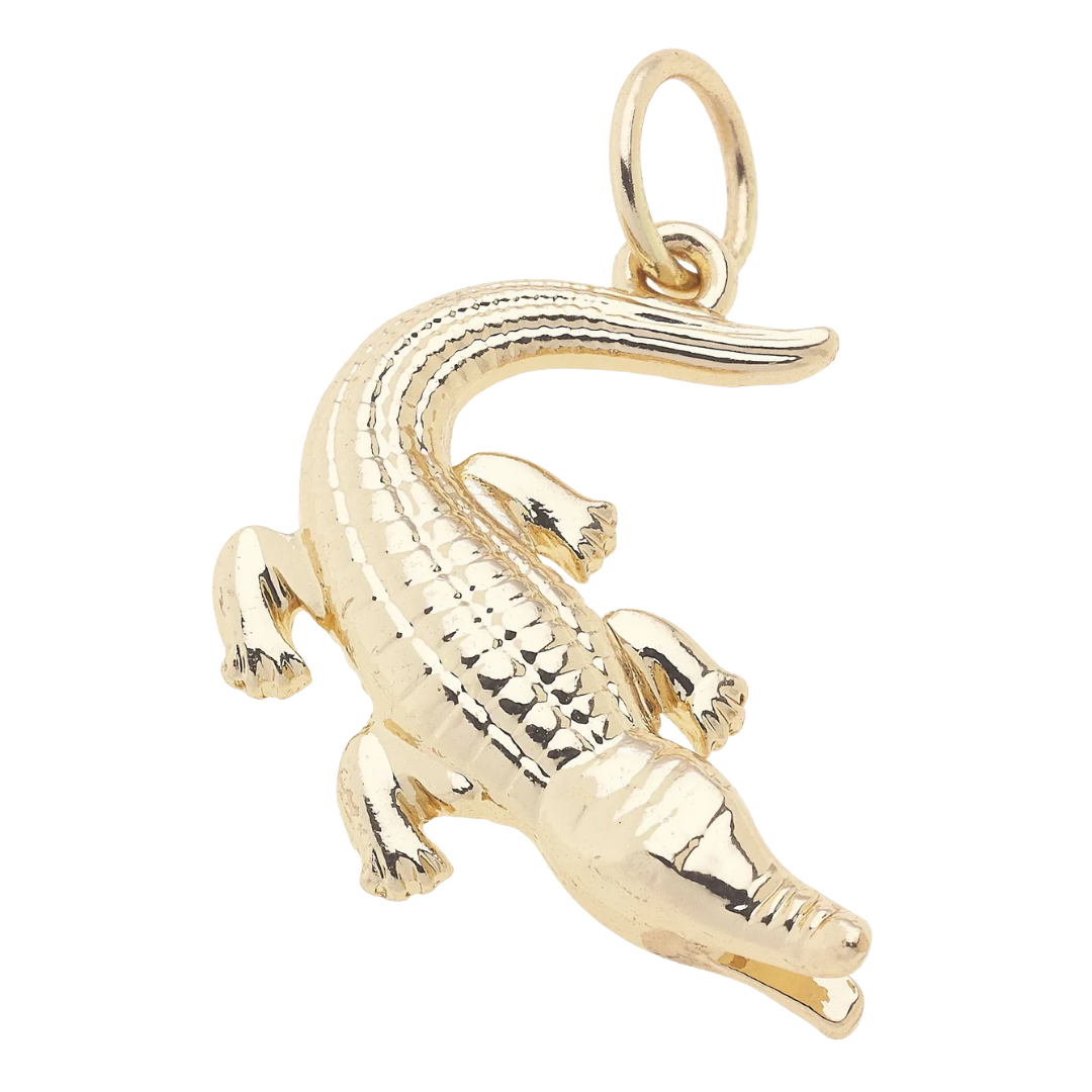Curved Alligator Charm