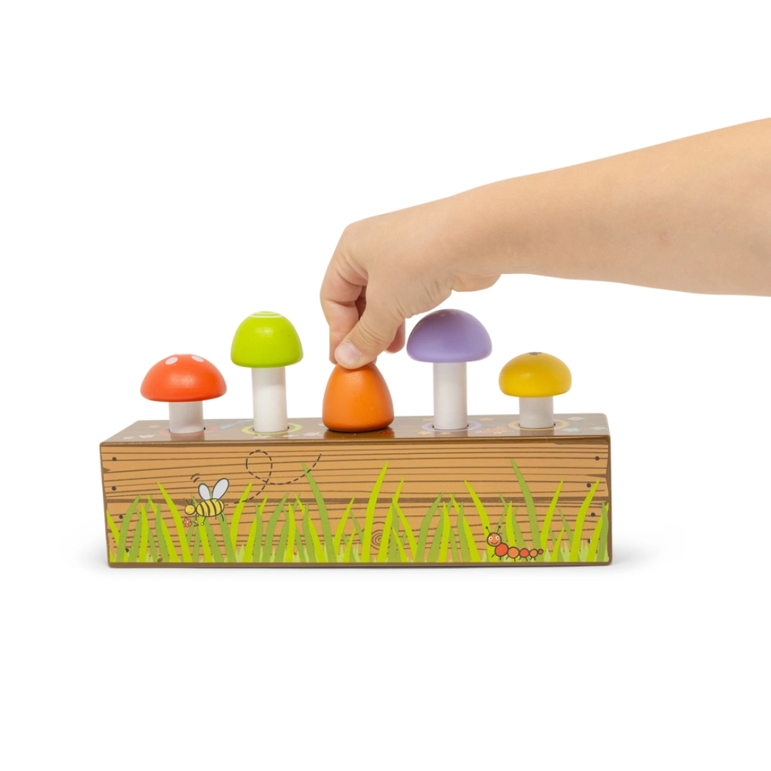 Mushroom Pop & Play