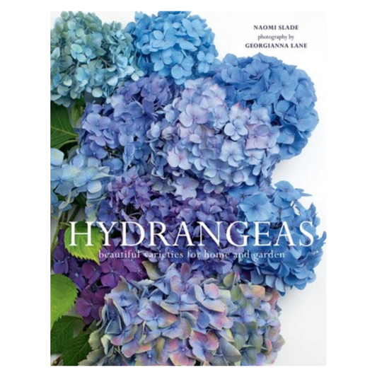 Hydrangeas