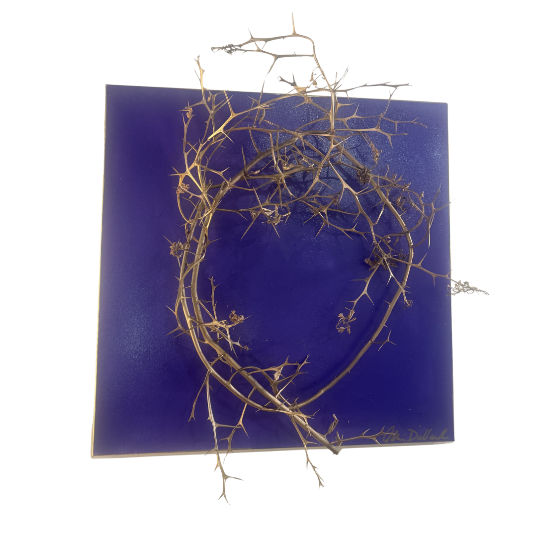 AD 24x24 Purple Crown of Thorns