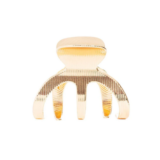 Clamp Claw Clip