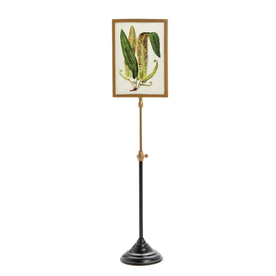 Telescoping Pole Photo Frames