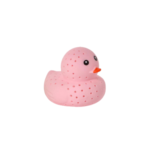 Duckie Water Toy