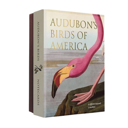 Audubon Birds of America Notecards