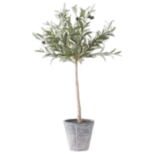 Olive Tree w/Gray Wash Pot