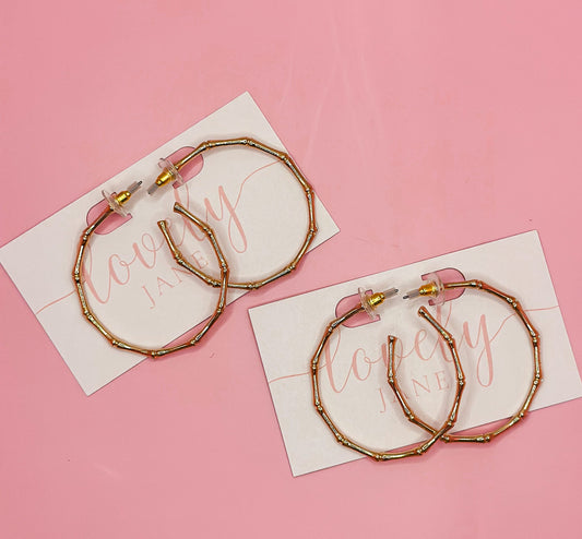 Sassy Hoops