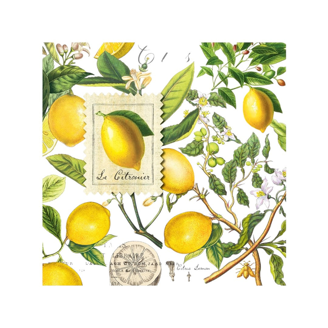 Lemon Basil Cocktail Napkin
