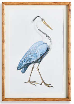 Elegant Blue Heron Prints