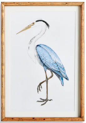 Elegant Blue Heron Prints