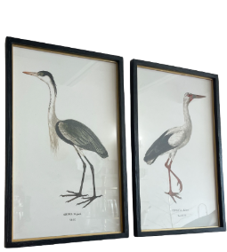 Coastal Heron Framed Print