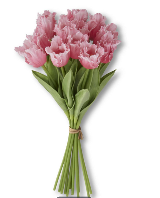 Rose Parrot Tulip Bundle