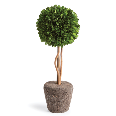 Boxwood Single Sphere Topiary Drop In - 16"