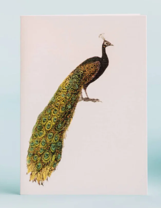 Peacock Greeting Card