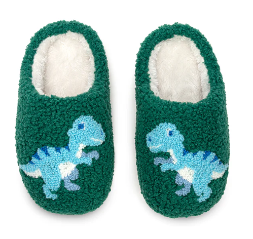 Boys Dino Slippers