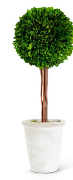 Boxwood Ball Topiaries Pots