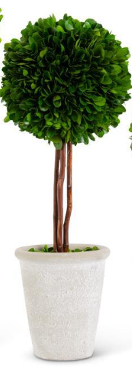 Boxwood Ball Topiaries Pots