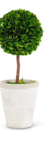 Boxwood Ball Topiaries Pots