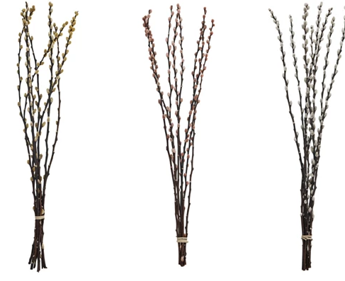 Dried Willow Bunch