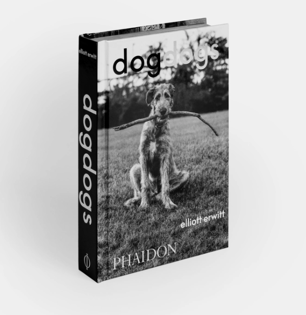 DogDogs Hardcover Book