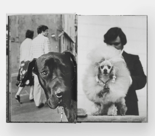 DogDogs Hardcover Book