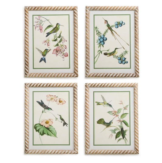 Hummingbird Framed Wall Art Prints