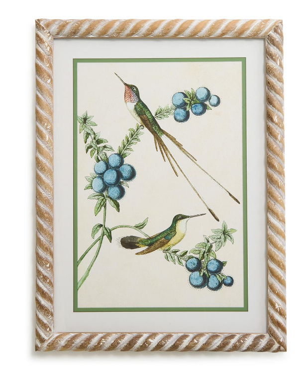 Hummingbird Framed Wall Art Prints