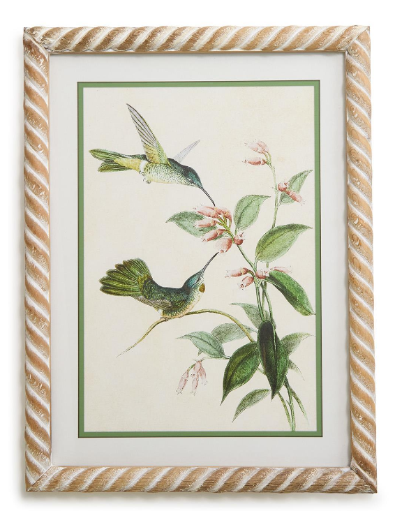 Hummingbird Framed Wall Art Prints